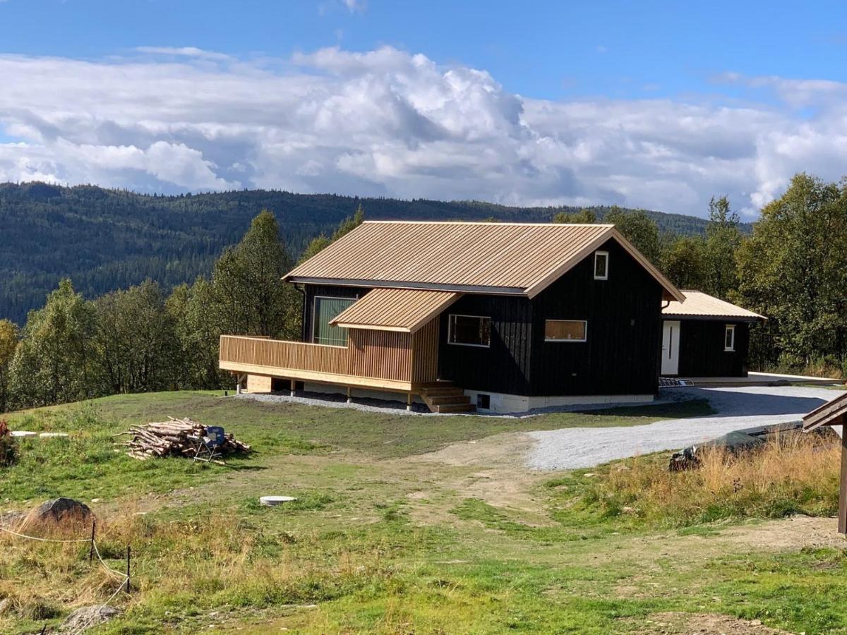 Na Er Vinteren Kommet Til Hallingdal Ål Exterior foto