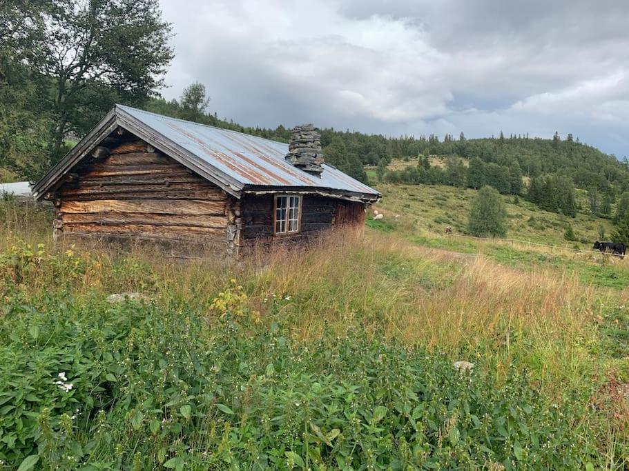 Na Er Vinteren Kommet Til Hallingdal Ål Exterior foto