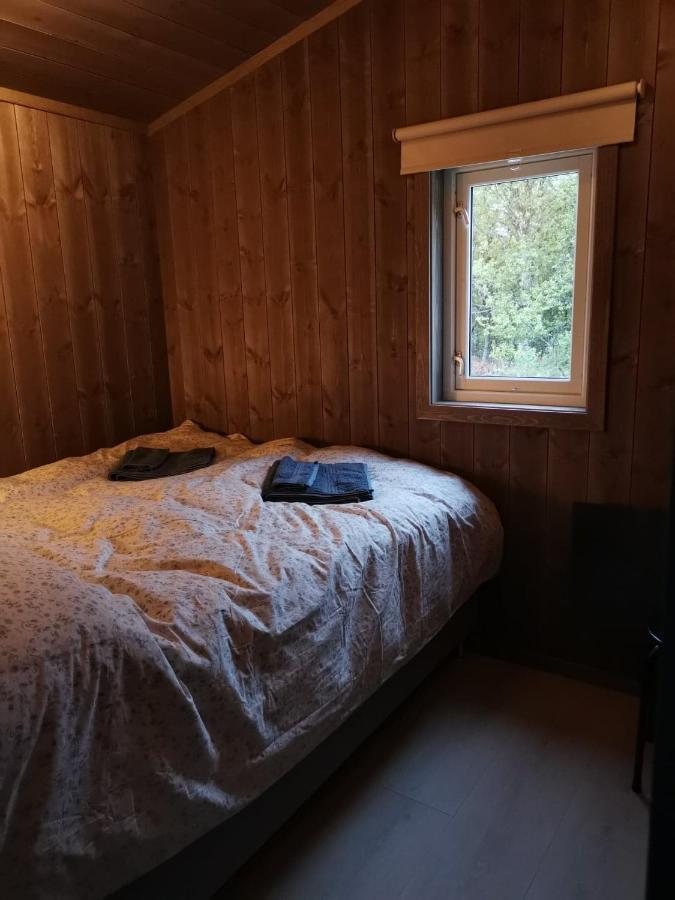 Na Er Vinteren Kommet Til Hallingdal Ål Exterior foto