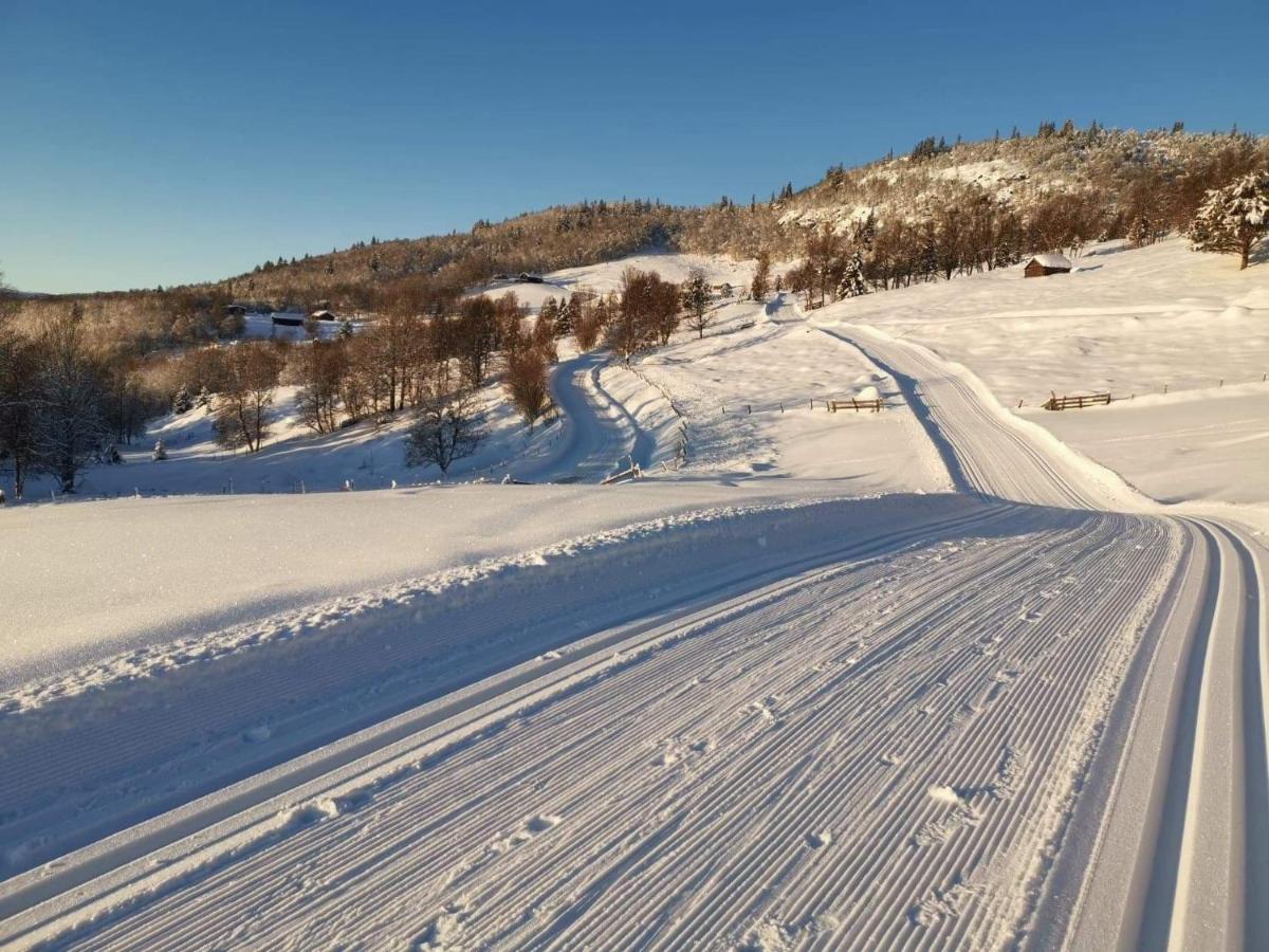 Na Er Vinteren Kommet Til Hallingdal Ål Exterior foto