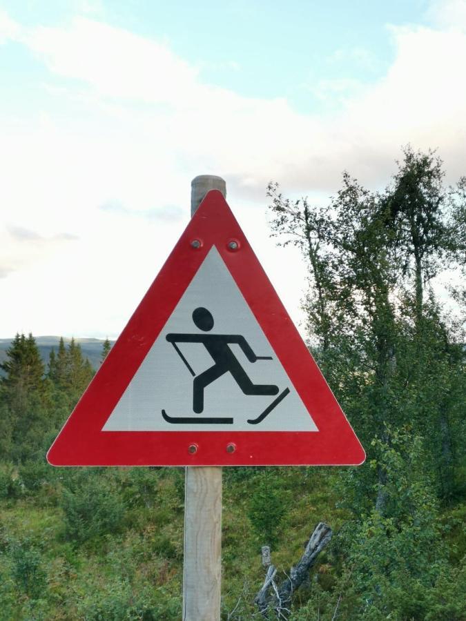 Na Er Vinteren Kommet Til Hallingdal Ål Exterior foto