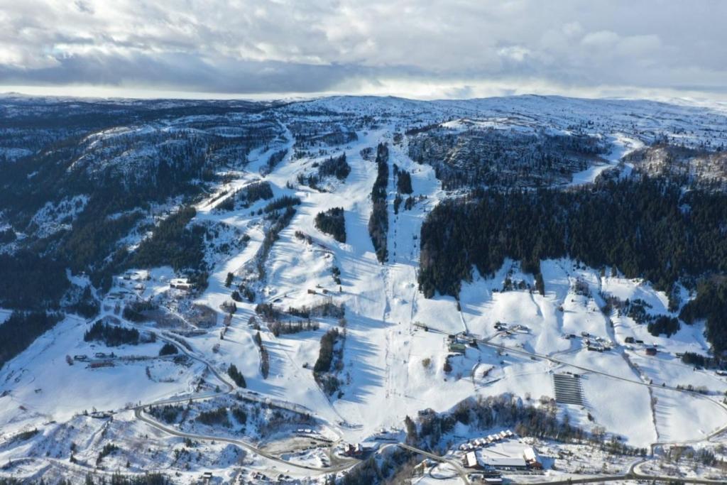 Na Er Vinteren Kommet Til Hallingdal Ål Exterior foto