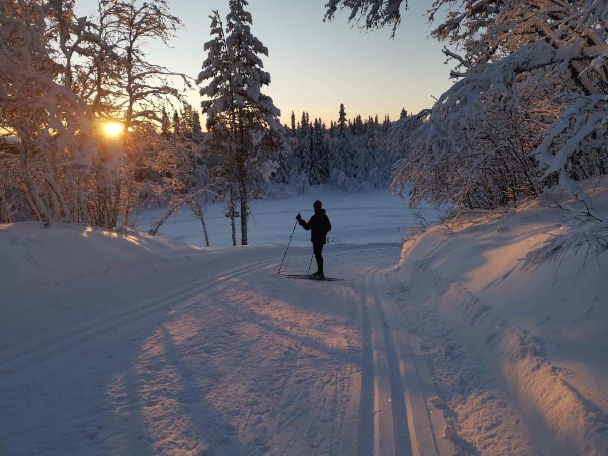 Na Er Vinteren Kommet Til Hallingdal Ål Exterior foto