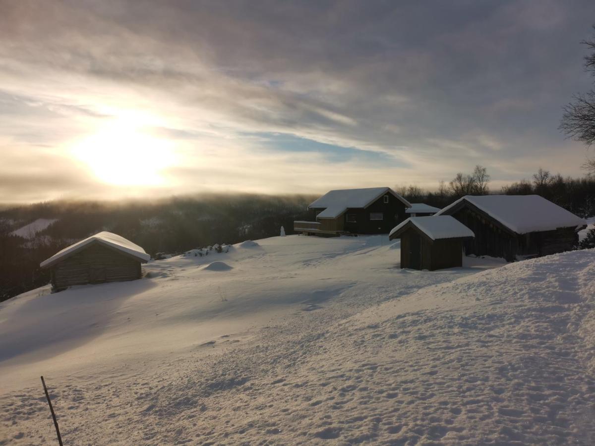 Na Er Vinteren Kommet Til Hallingdal Ål Exterior foto