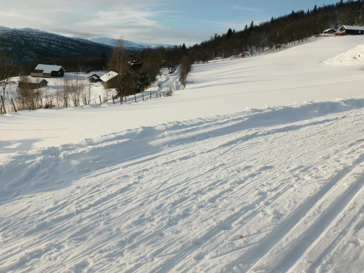 Na Er Vinteren Kommet Til Hallingdal Ål Exterior foto