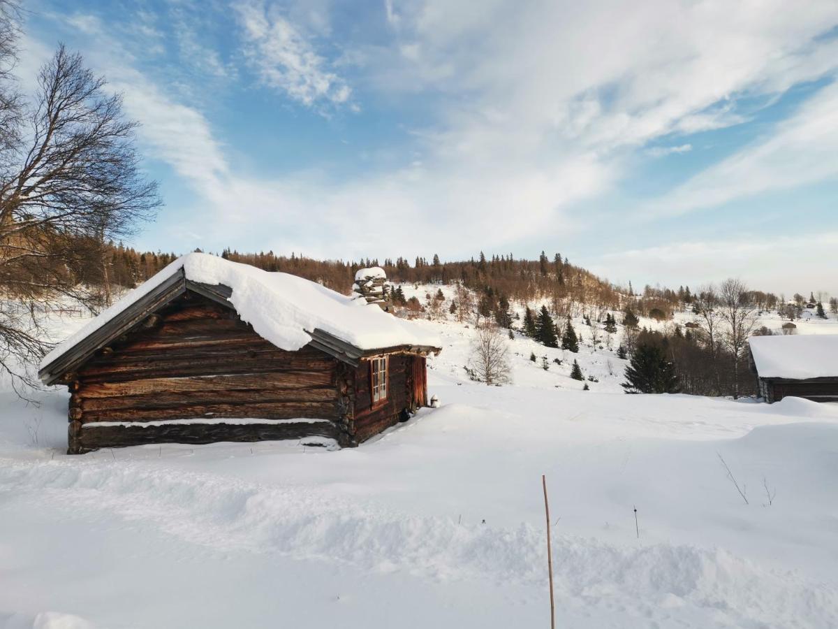 Na Er Vinteren Kommet Til Hallingdal Ål Exterior foto