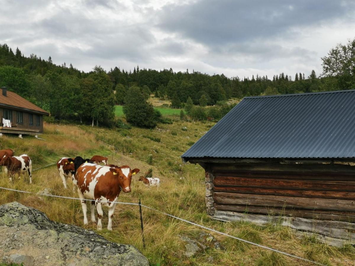 Na Er Vinteren Kommet Til Hallingdal Ål Exterior foto